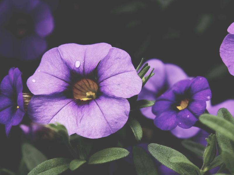 sudoku jigsaw puzzle screenshot 3