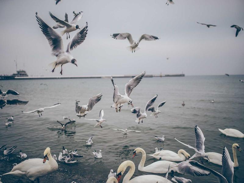 sudoku jigsaw puzzle screenshot 4