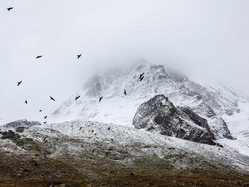 sudoku jigsaw puzzle